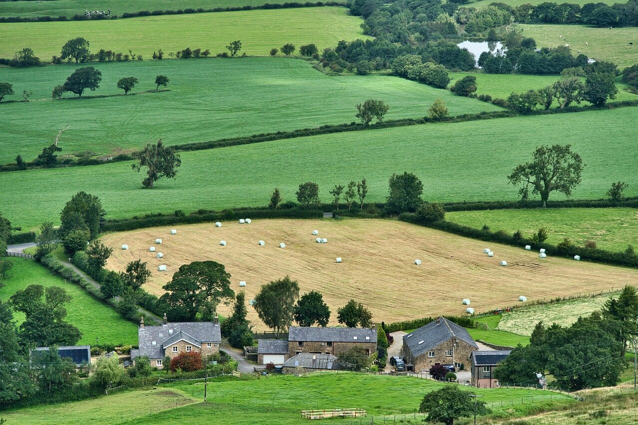 farming, agriculture, farm, crops, fields, greenery, rural, farming, agriculture, farm, farm, farm, farm, farm, rural